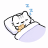 Cat night