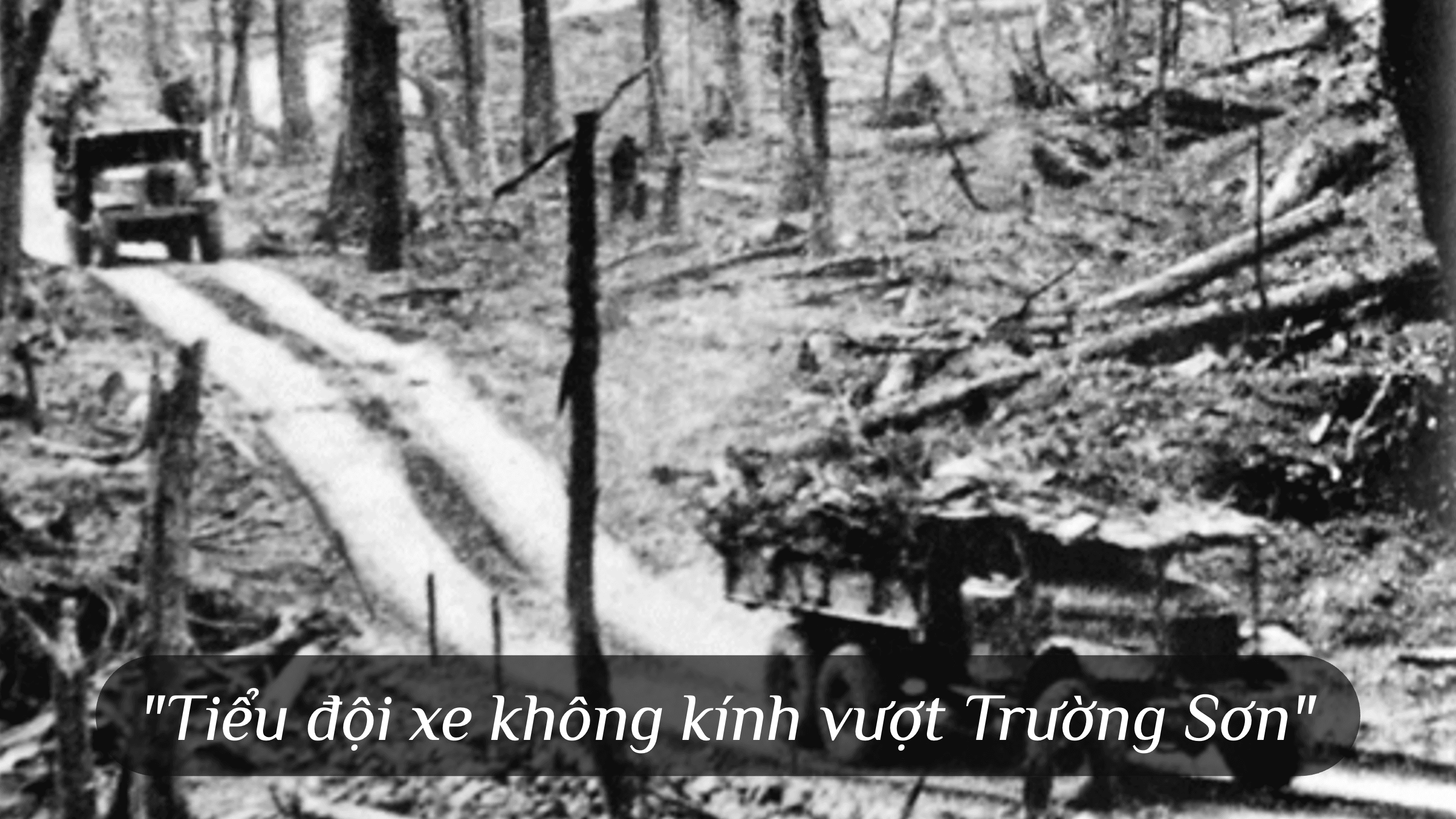 Chi viện cách mạng miền Nam, hoàn thành nhiệm vụ thống nhất đất nước 1965–1975