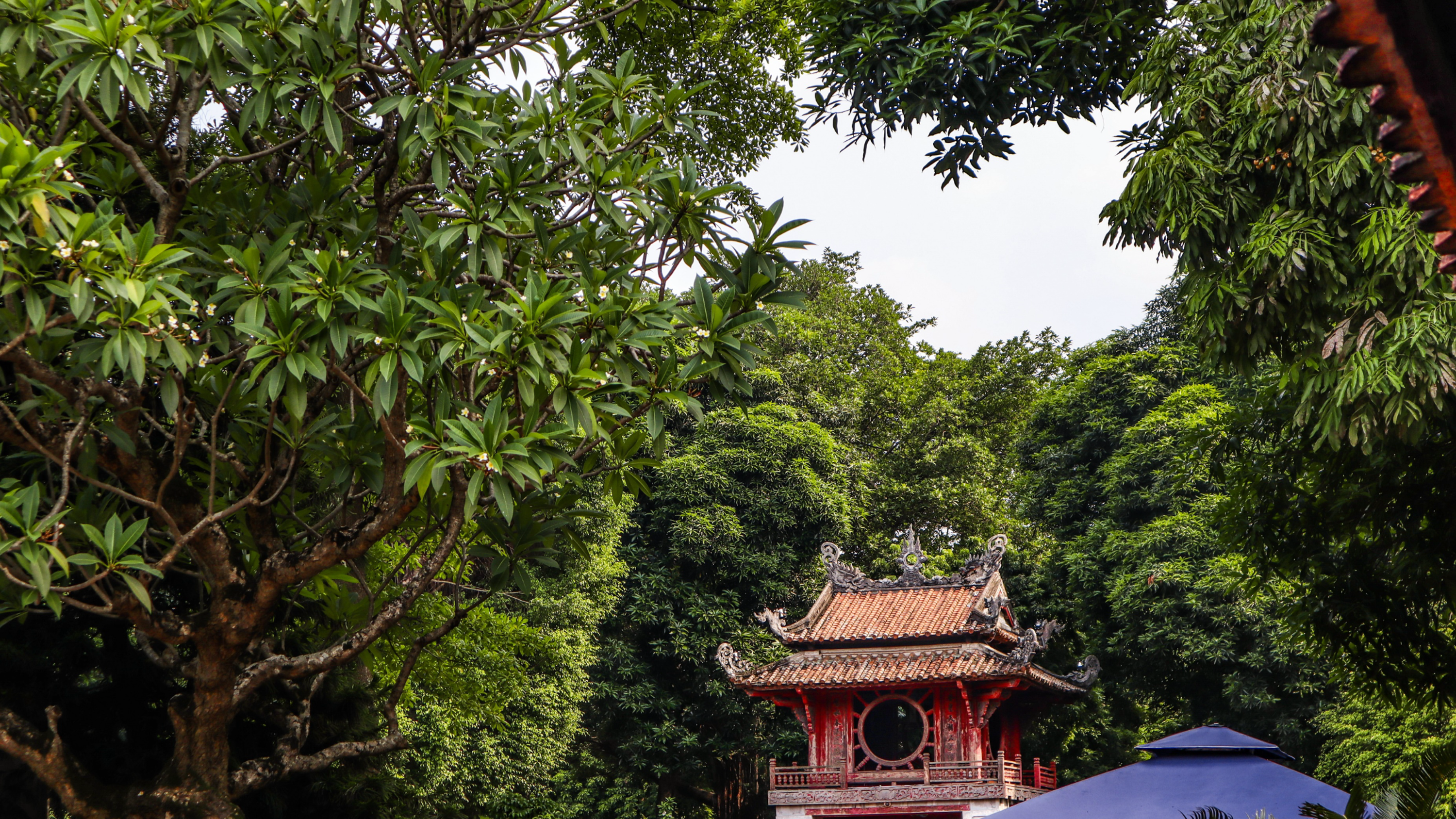 Tổ chức Đảng ra đời ở Đống Đa và cuộc Tổng khởi nghĩa